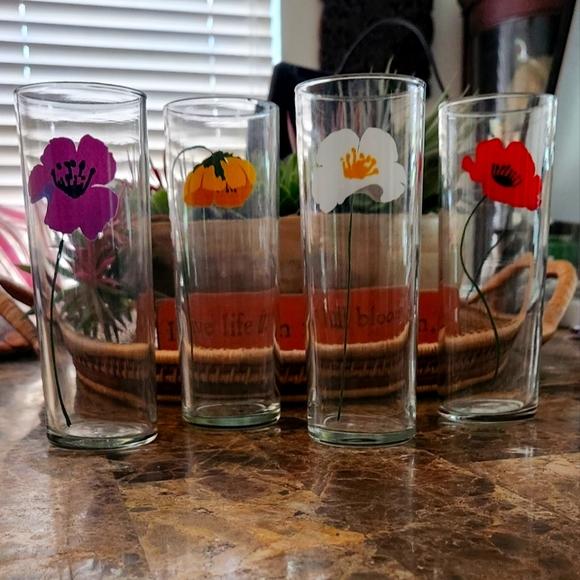 Anchor Hocking Dining Vintage Anchor Hocking Poppy Tom Collins